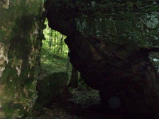 Enlarge photo 76