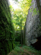 Enlarge photo 77
