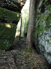 Enlarge photo 78