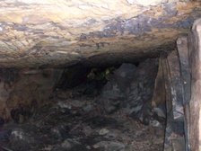 Enlarge photo 79