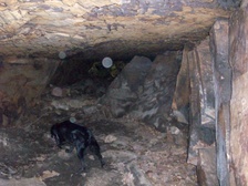 Enlarge photo 81