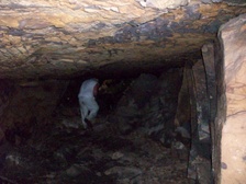 Enlarge photo 82
