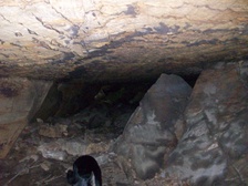 Enlarge photo 84