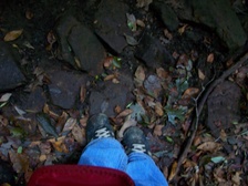 Enlarge photo 89