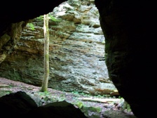 Enlarge photo 98