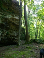 Enlarge photo 109