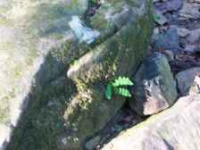 Enlarge photo 111