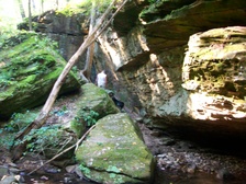 Enlarge photo 113