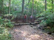 Enlarge photo 115