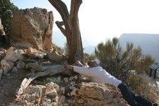 Enlarge photo 273