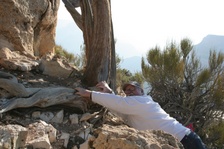 Enlarge photo 274