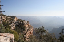 Enlarge photo 278