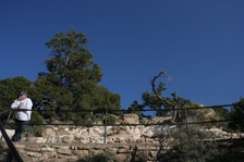 Enlarge photo 285