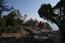 Enlarge photo 577