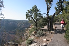 Enlarge photo 287