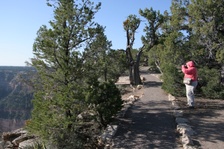 Enlarge photo 288