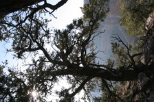 Enlarge photo 290