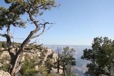 Enlarge photo 291