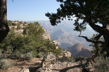 Enlarge photo 292