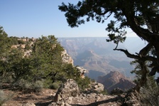 Enlarge photo 293