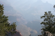 Enlarge photo 294