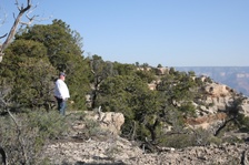 Enlarge photo 295