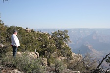 Enlarge photo 296