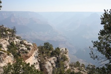 Enlarge photo 299