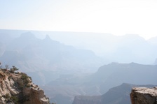 Enlarge photo 310