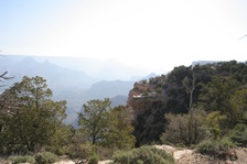 Enlarge photo 316