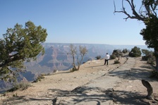 Enlarge photo 317