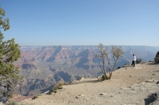 Enlarge photo 318