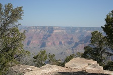 Enlarge photo 357