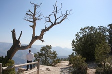 Enlarge photo 358