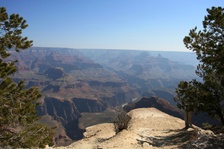 Enlarge photo 370