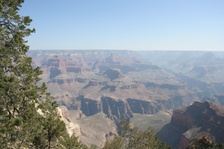 Enlarge photo 378