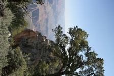 Enlarge photo 380
