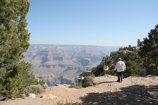 Enlarge photo 384