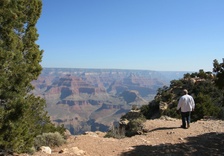 Enlarge photo 385