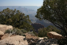 Enlarge photo 395
