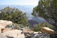 Enlarge photo 396