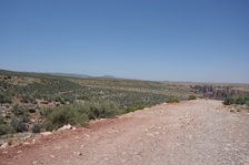 Enlarge photo 425