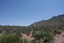 Enlarge photo 427