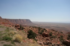Enlarge photo 442