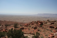 Enlarge photo 445