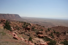 Enlarge photo 446