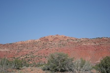 Enlarge photo 483