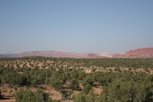 Enlarge photo 484
