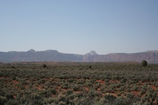 Enlarge photo 485