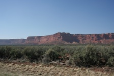 Enlarge photo 487